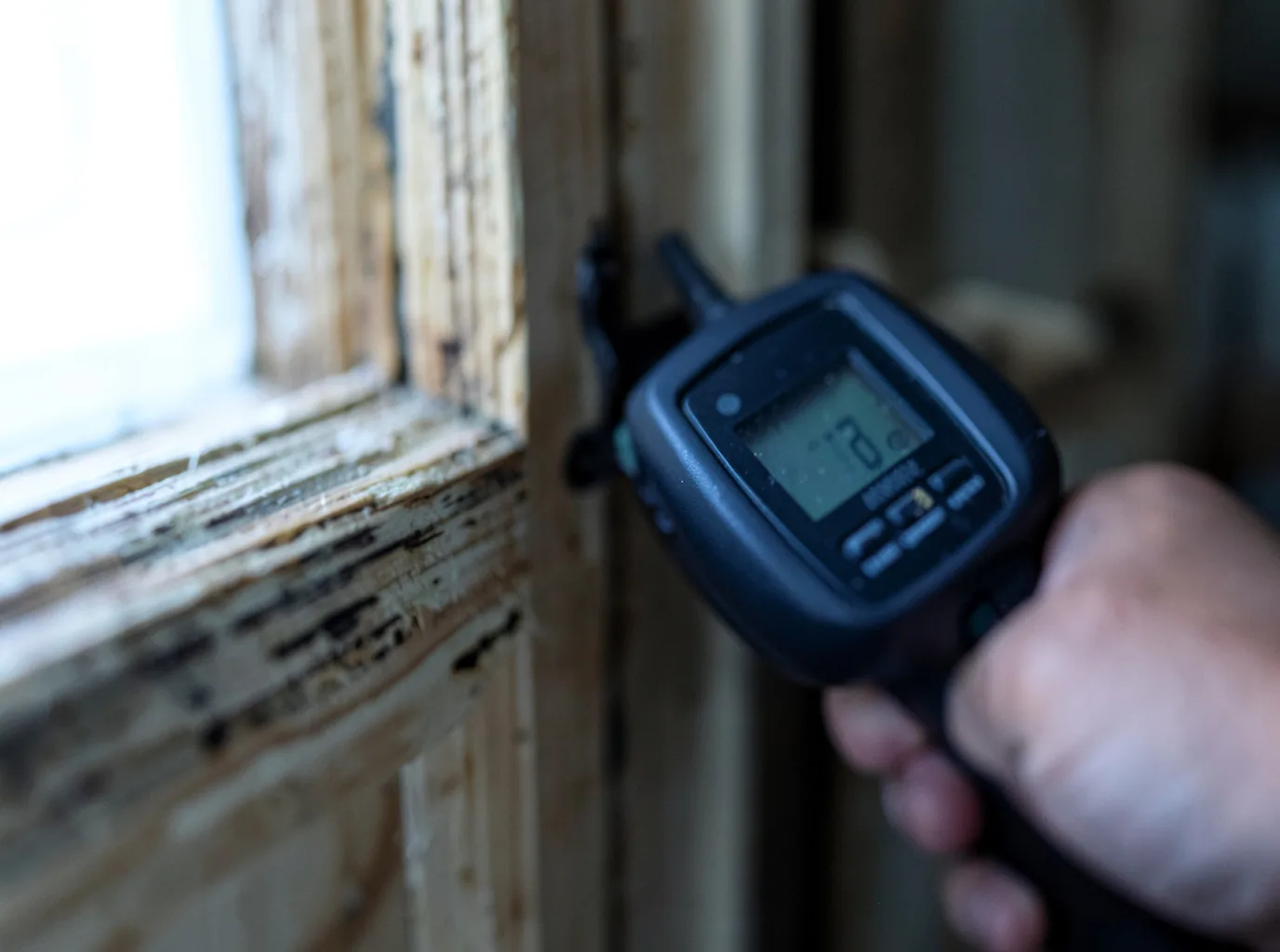 Moisture Inspection And Documentation in Mitchellville, IA